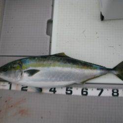 Aquanaut（アクアノート） 釣果