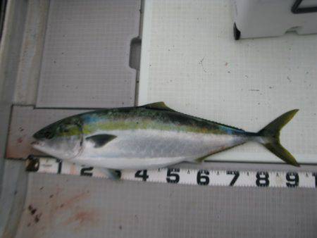 Aquanaut（アクアノート） 釣果