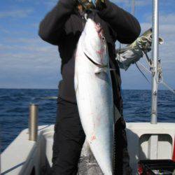 Aquanaut（アクアノート） 釣果