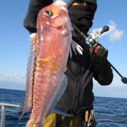 Aquanaut（アクアノート） 釣果