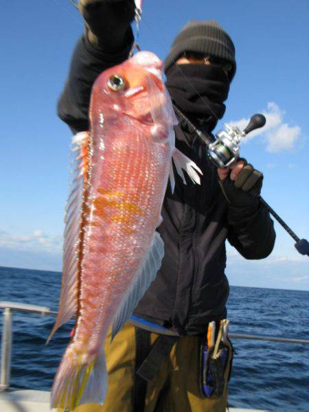 Aquanaut（アクアノート） 釣果