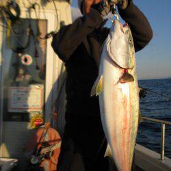 Aquanaut（アクアノート） 釣果