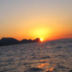 Aquanaut（アクアノート） 釣果