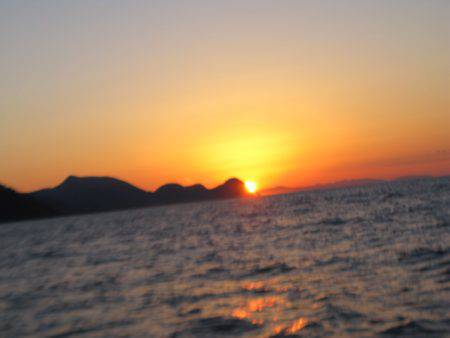 Aquanaut（アクアノート） 釣果