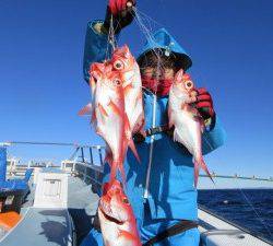 太郎丸 釣果