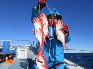 太郎丸 釣果