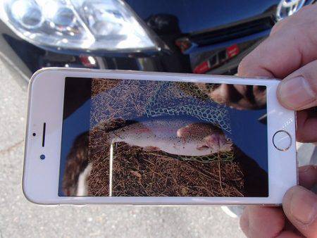 志高湖フィッシング 釣果