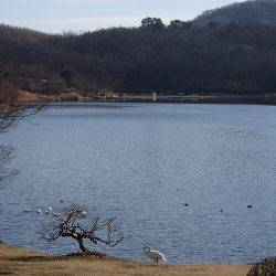 志高湖フィッシング 釣果