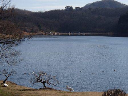 志高湖フィッシング 釣果