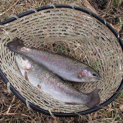 志高湖フィッシング 釣果