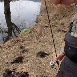 志高湖フィッシング 釣果