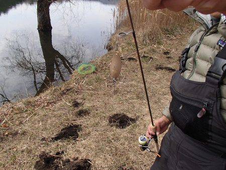 志高湖フィッシング 釣果