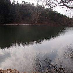 志高湖フィッシング 釣果