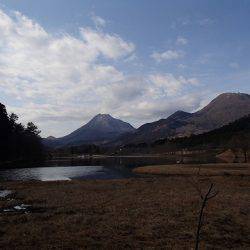 志高湖フィッシング 釣果