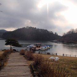 志高湖フィッシング 釣果