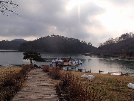 志高湖フィッシング 釣果