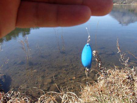 志高湖フィッシング 釣果