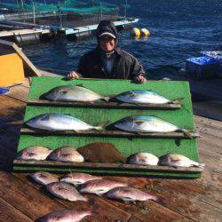 みうら海王 釣果