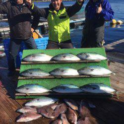 みうら海王 釣果
