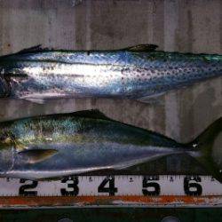 火遠理丸（ほおりまる） 釣果