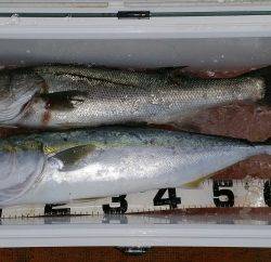 火遠理丸(ほおりまる) 釣果