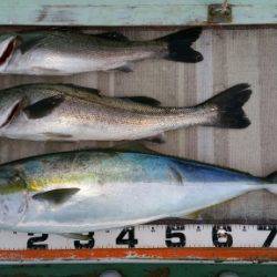 火遠理丸(ほおりまる) 釣果