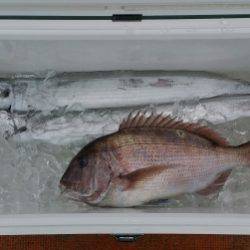 火遠理丸（ほおりまる） 釣果