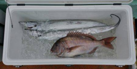 火遠理丸（ほおりまる） 釣果