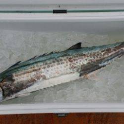 火遠理丸（ほおりまる） 釣果