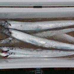 火遠理丸（ほおりまる） 釣果