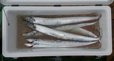 火遠理丸（ほおりまる） 釣果