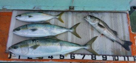 火遠理丸（ほおりまる） 釣果