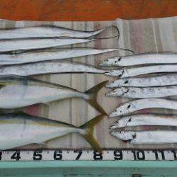 火遠理丸(ほおりまる) 釣果