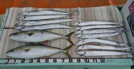 火遠理丸(ほおりまる) 釣果