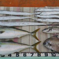 火遠理丸(ほおりまる) 釣果