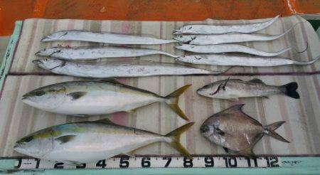 火遠理丸(ほおりまる) 釣果