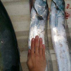 火遠理丸(ほおりまる) 釣果