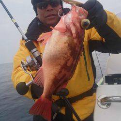 気仙沼　つり丸 釣果