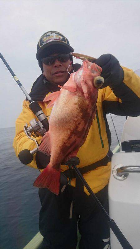 気仙沼　つり丸 釣果