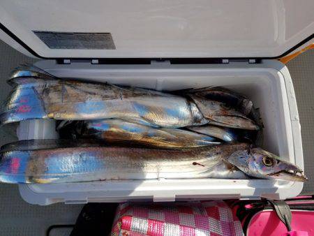 遊漁船　ニライカナイ 釣果