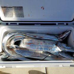 遊漁船 ニライカナイ 釣果