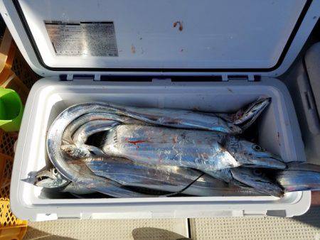 遊漁船 ニライカナイ 釣果