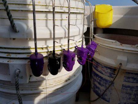 遊漁船　ニライカナイ 釣果