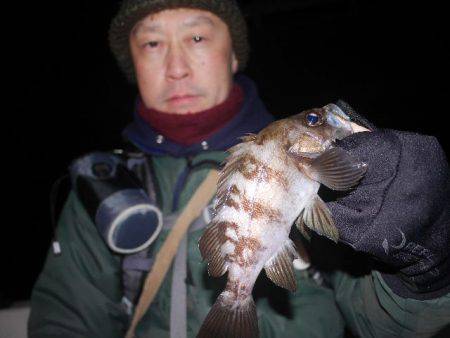 TOPGUN名古屋 釣果