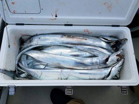 遊漁船　ニライカナイ 釣果