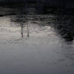 へいみつ丸 釣果