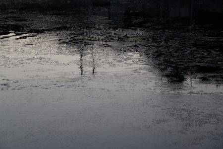 へいみつ丸 釣果