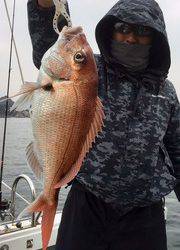 YELLOW-TAIL　イエローテール 釣果