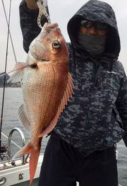 YELLOW-TAIL　イエローテール 釣果