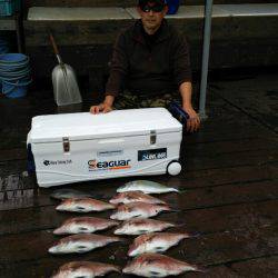 海上釣堀フィッシングレインボー 釣果